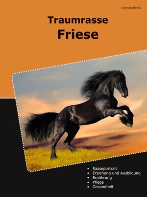 cover image of Traumrasse Friese